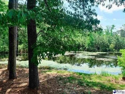 Building Photo - 303 Gator Lake Ct