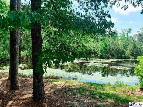 Building Photo - 303 Gator Lake Ct