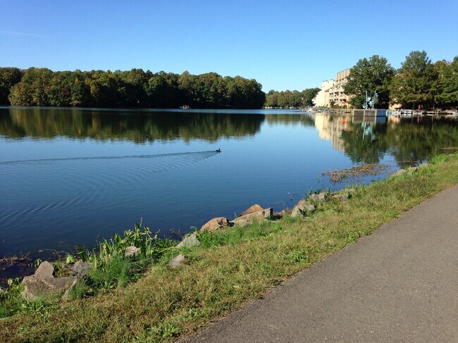 10-minutge walk to Lake Thorough - 11251 Silentwood Ln