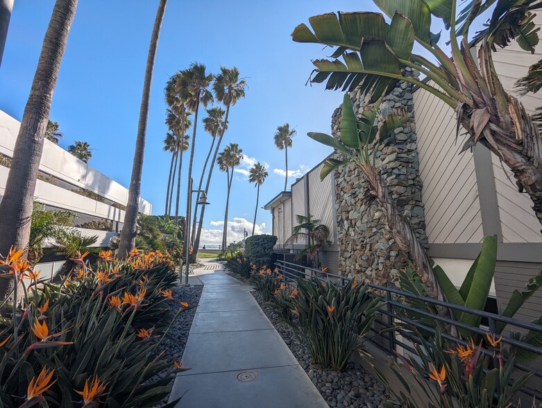Walking area from the gym to the beach club - 1830 Avenida Del Mundo