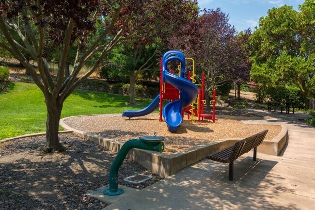 Building Photo - Charming 4-Bed with 3 Baths & Cozy Fireplace in San Ramon!