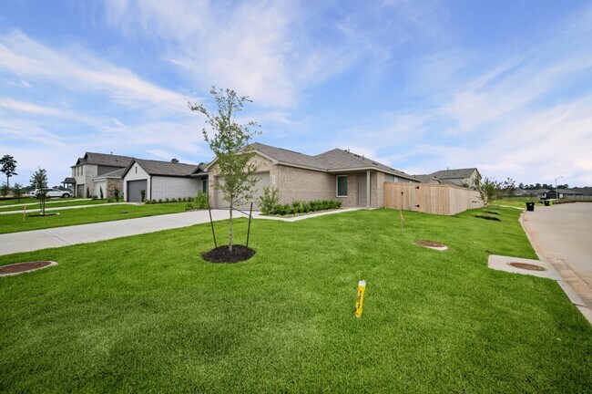 Building Photo - 702 Umbrella Tree Dr