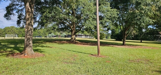 Building Photo - Cutie in the Country