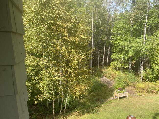 Building Photo - 49 Springbrook Dr