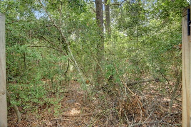Building Photo - 35 Tranquil Glade Pl