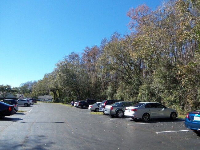 Building Photo - Pine Ridge at Lake Tarpon