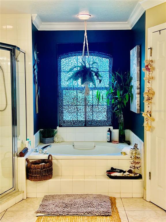 Building Photo - 686 Park Valley Cir