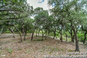 Building Photo - 108 Palomino Springs