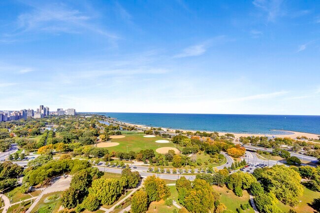 Building Photo - 1555 N Dearborn Pkwy