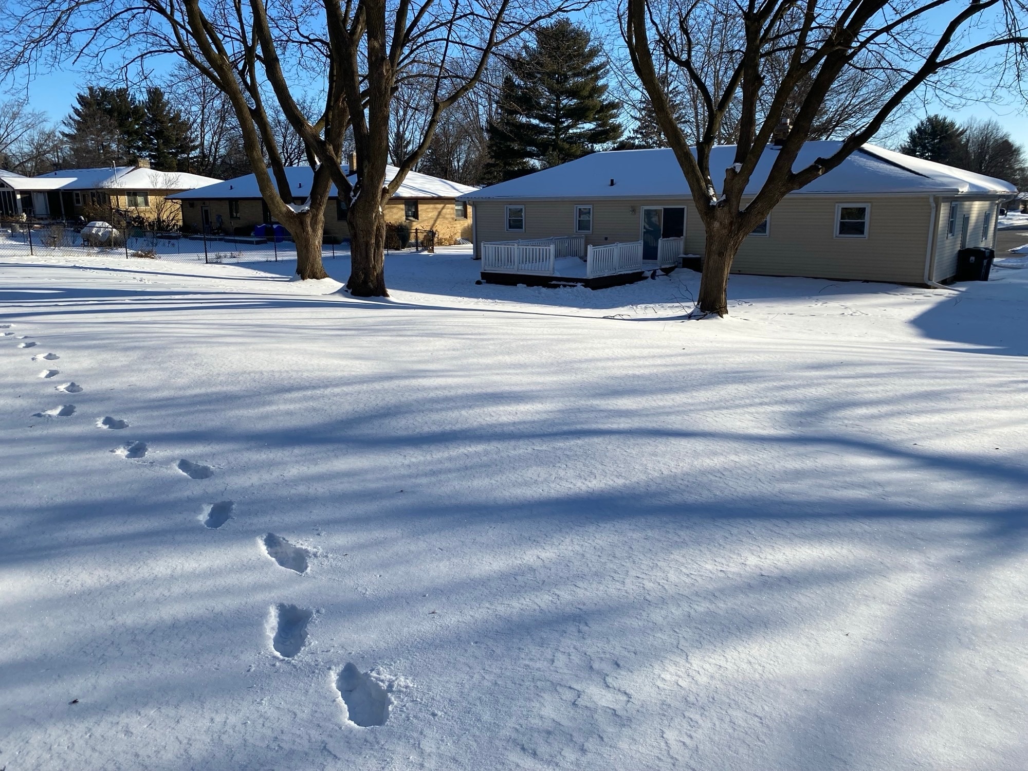 Building Photo - 808 Davis St