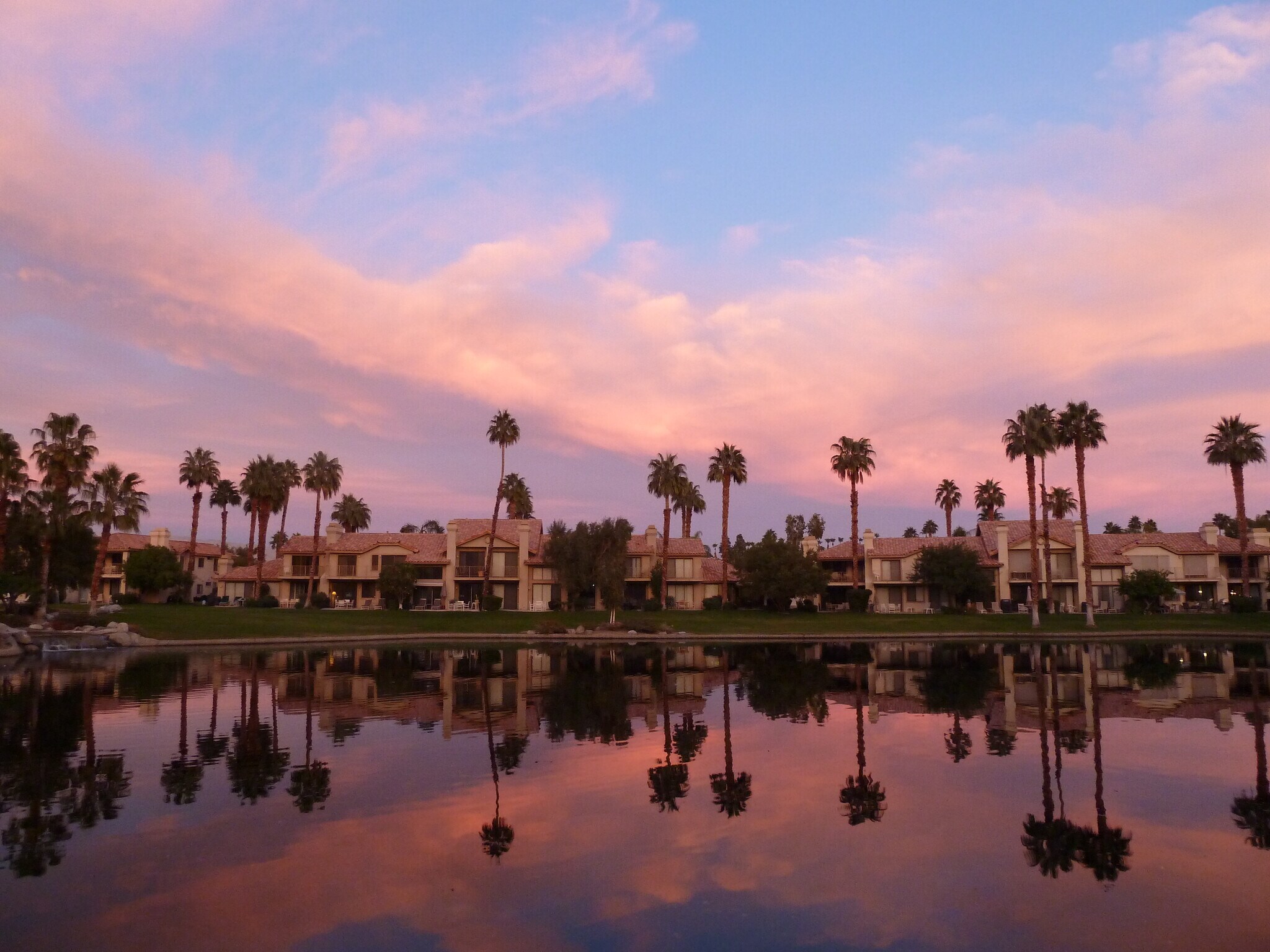 sunrise - 55456 Firestone