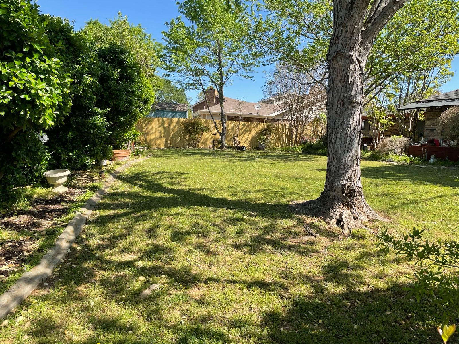 Spacious green yard with shade tree and privacy fencing - ideal for outdoor play or relaxing. - 2401 Thistle Ct
