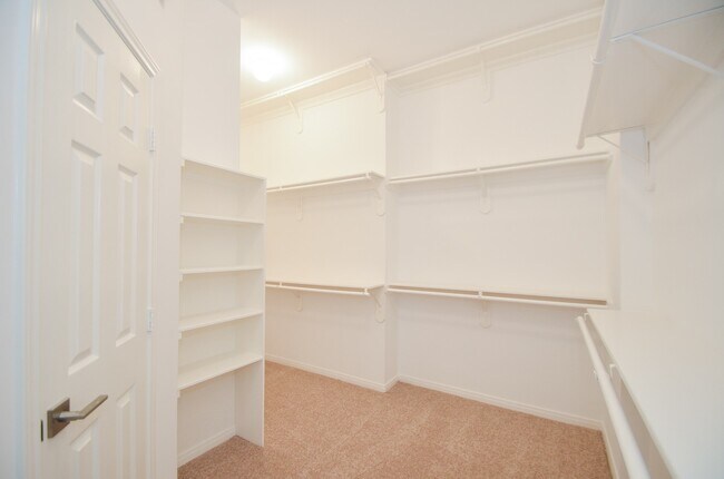 Building Photo - 2123 Thistlerock Ln