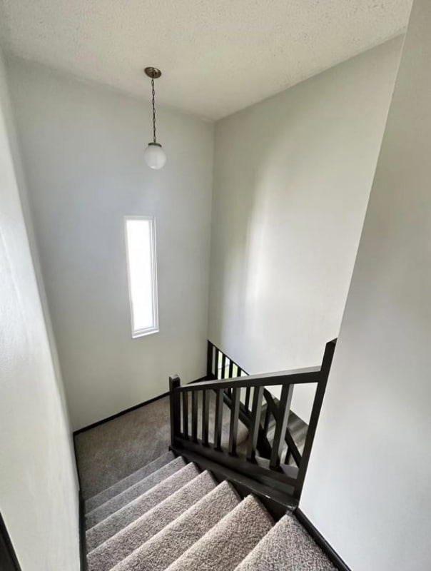 Building Photo - 3824 Longton Dr