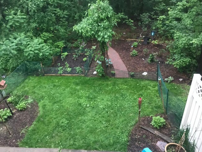 Backyard viewed from den - 18 Lake Forest Dr