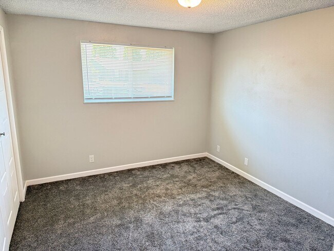 Building Photo - Updated 2 bedroom 1 bathroom dulpex in Springfield!