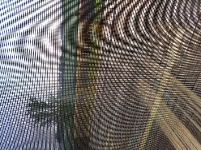 Building Photo - 801 Christopher St