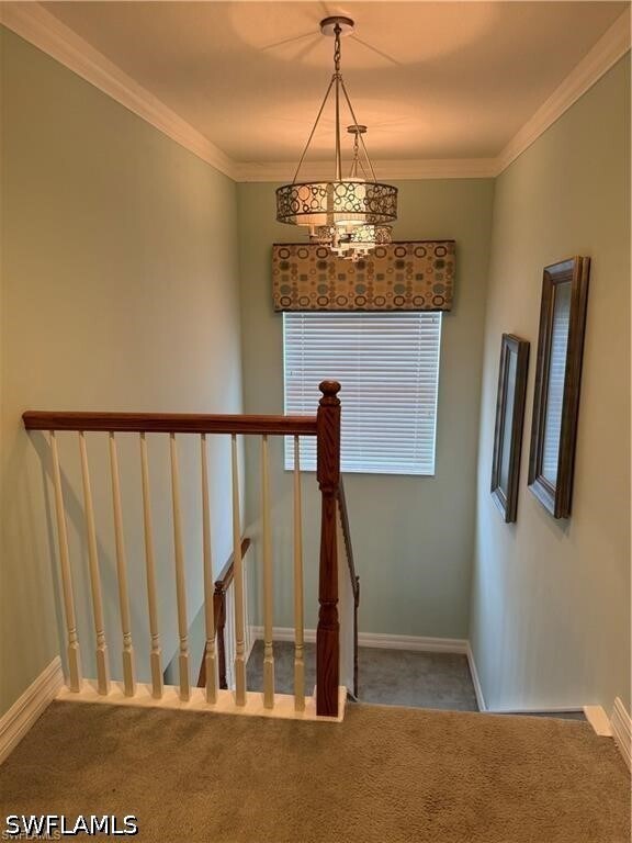 Building Photo - 10305 Longleaf Pine Ct