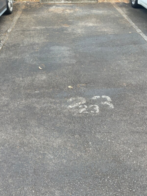 Building Photo - 3407 River Dr