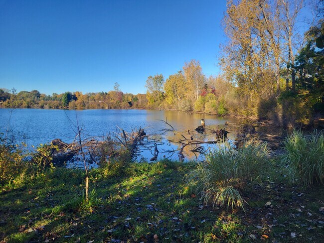 Building Photo - 11719 21 Mile Rd