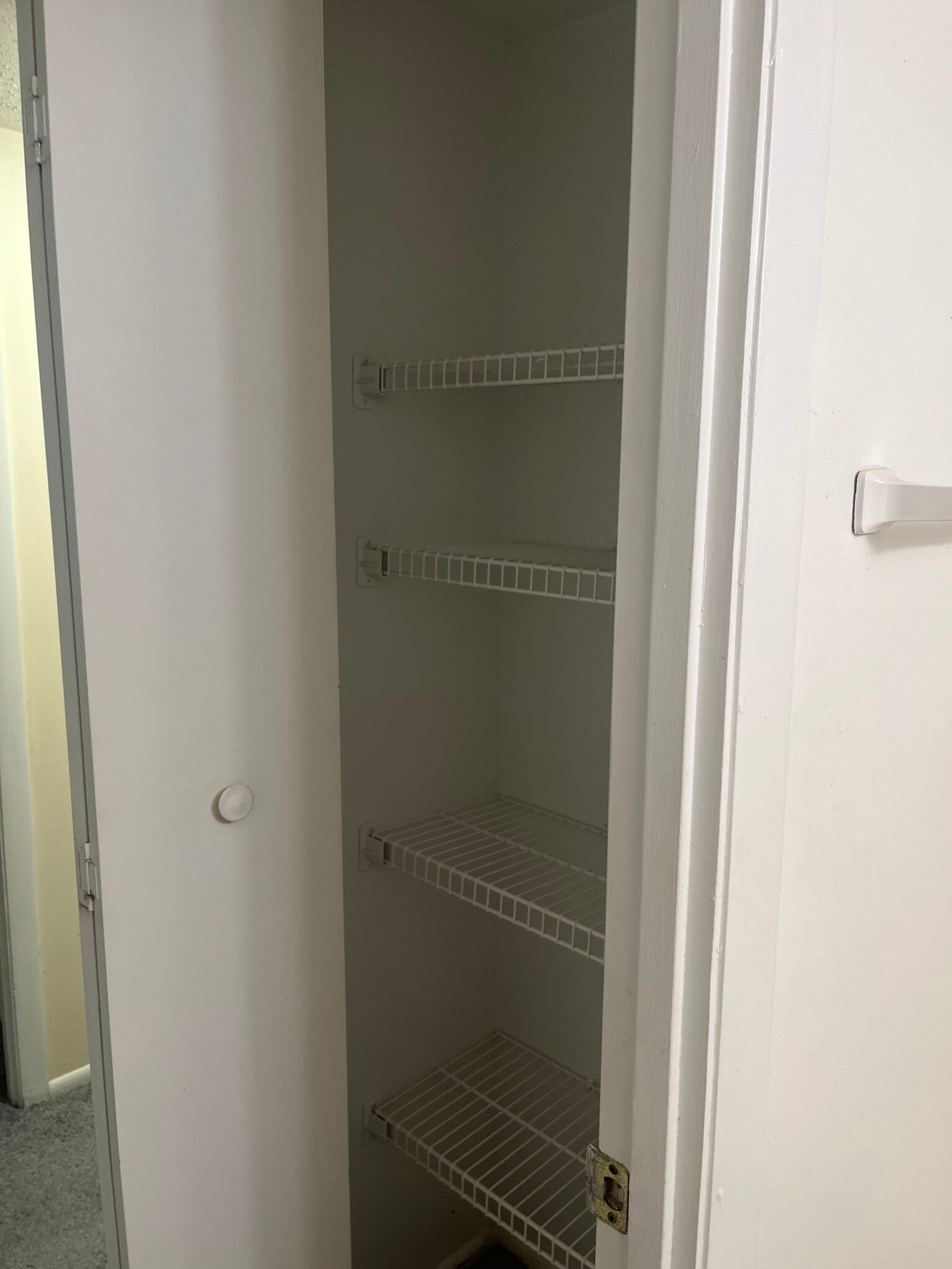 Building Photo - 308 Thalia Station Ct
