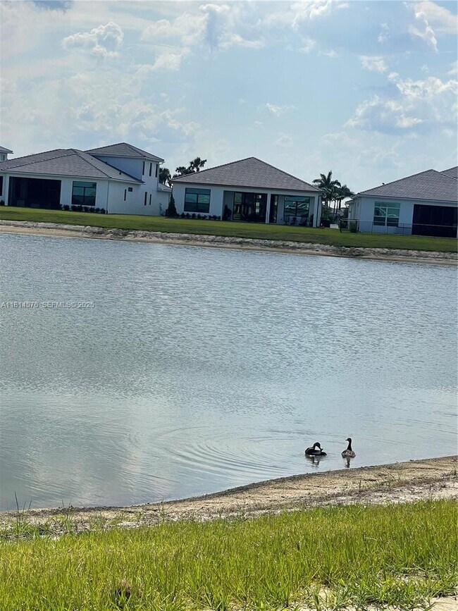 Building Photo - 11356 SW Pietra Wy