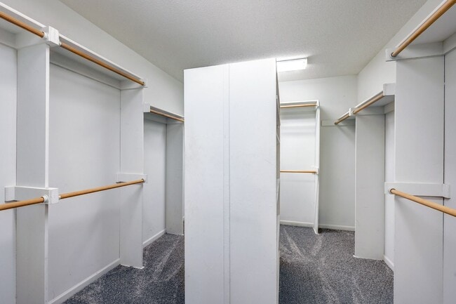 Building Photo - {14400} Somerset Brooke + Beautifully Updated Throughout + Finished Walk Out Basement + Fenced Yard