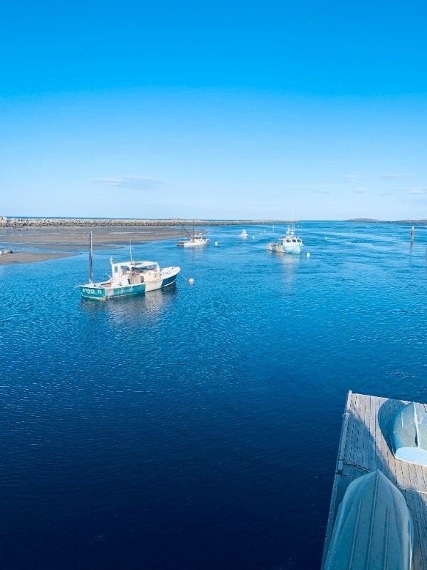 Building Photo - 8 Pine Tree Ave