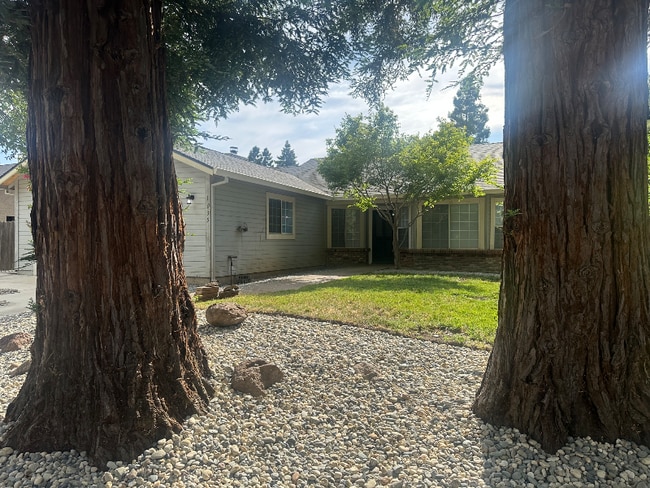 Building Photo - 1035 Cordelia Ct