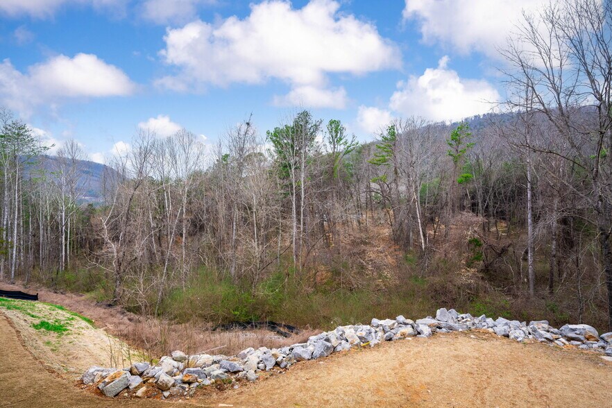 Building Photo - 4219 Tillie Cir