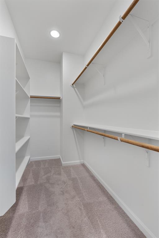 Building Photo - 2437 Burberry Ln