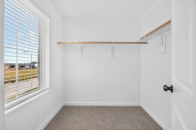 Building Photo - 26103 Sea Rosemary Ln