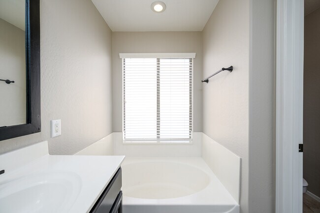 Master Bathroom - Roman Tub view - 1024 E Frye Rd