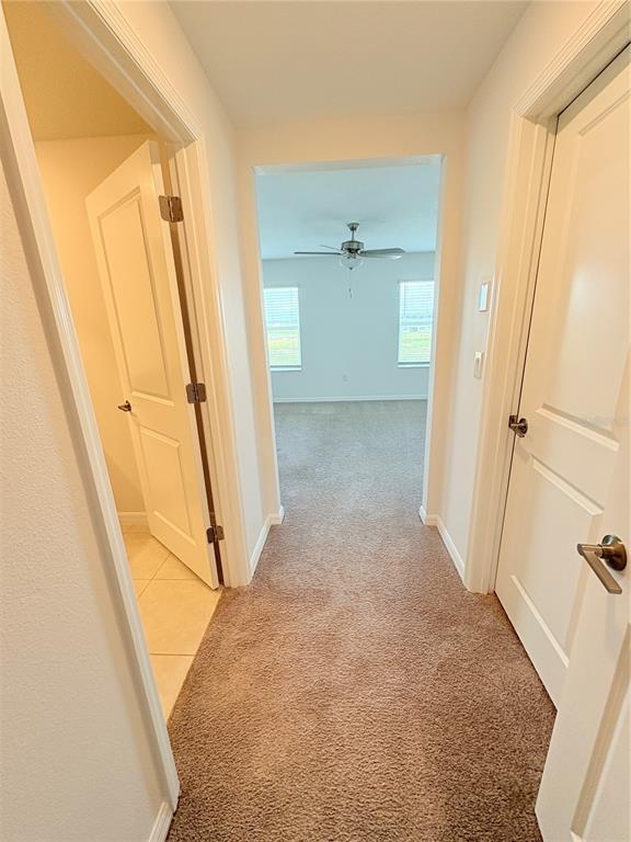 Building Photo - 32121 Powderpuff Mimosa Dr