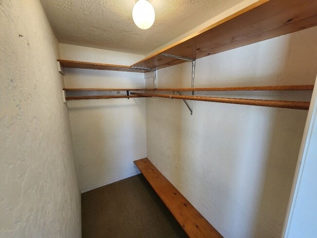 Building Photo - Beachside 3/2/1 Spacious Home