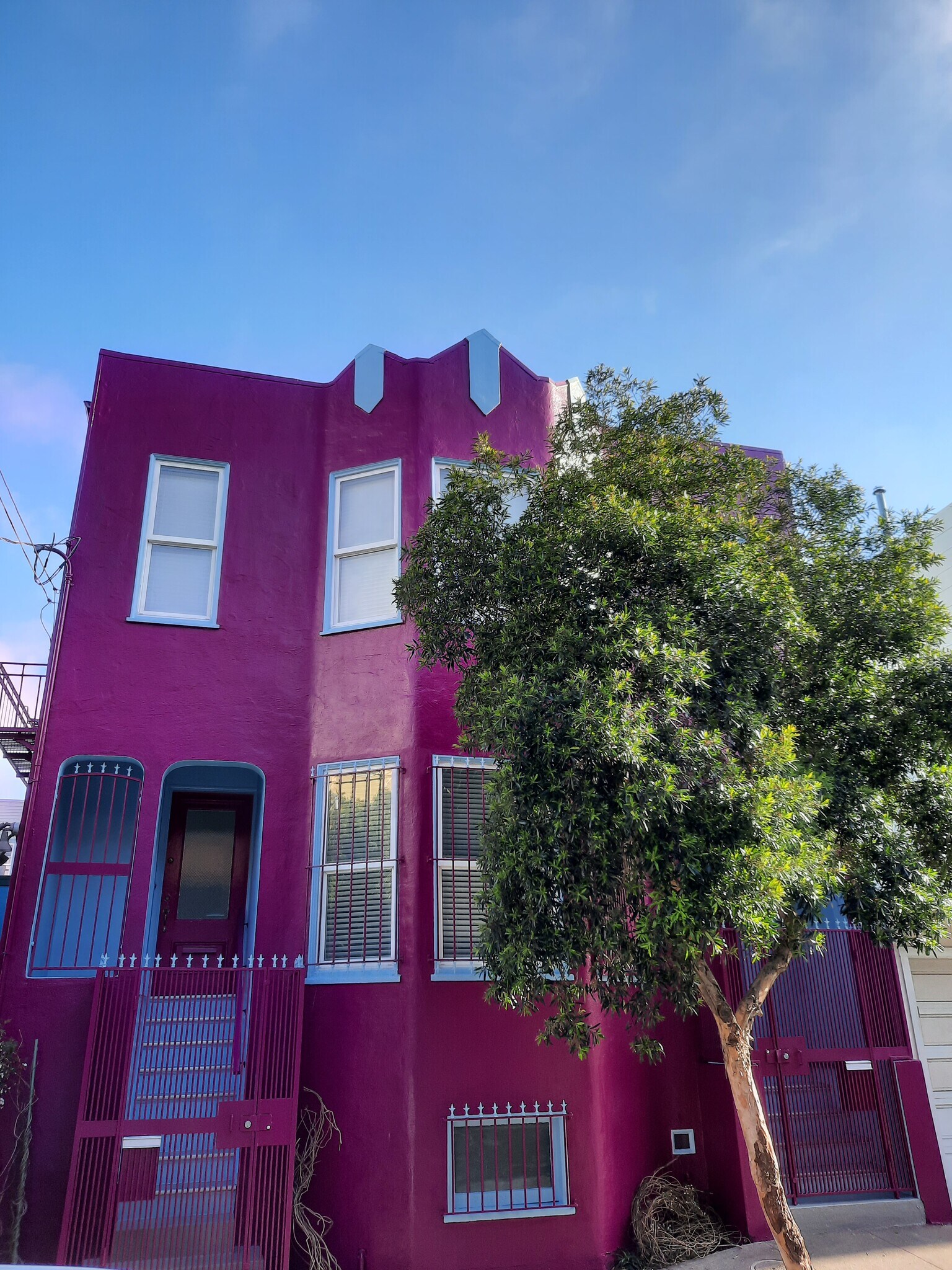 Building Photo - 61 Brosnan St