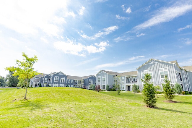 Outdoor Space - Villas On Fir