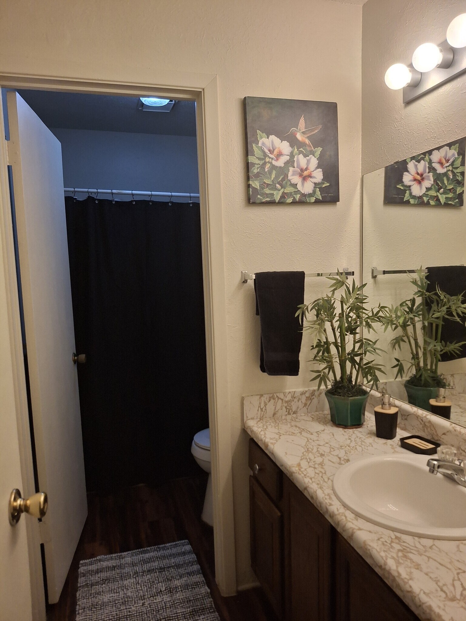 Building Photo - 1409 Paseo del Oro