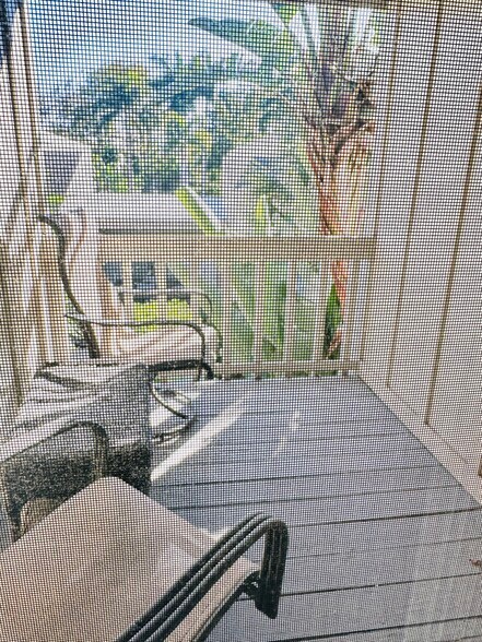 Building Photo - 2208 Bahia Vista St