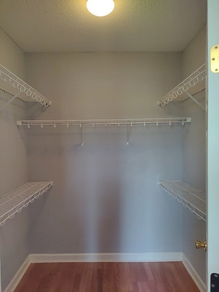 Building Photo - 611 Atkinson Dr