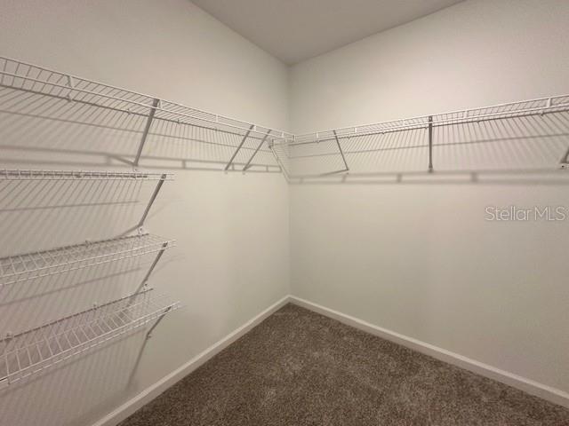 Building Photo - 8476 SW 41st Cir