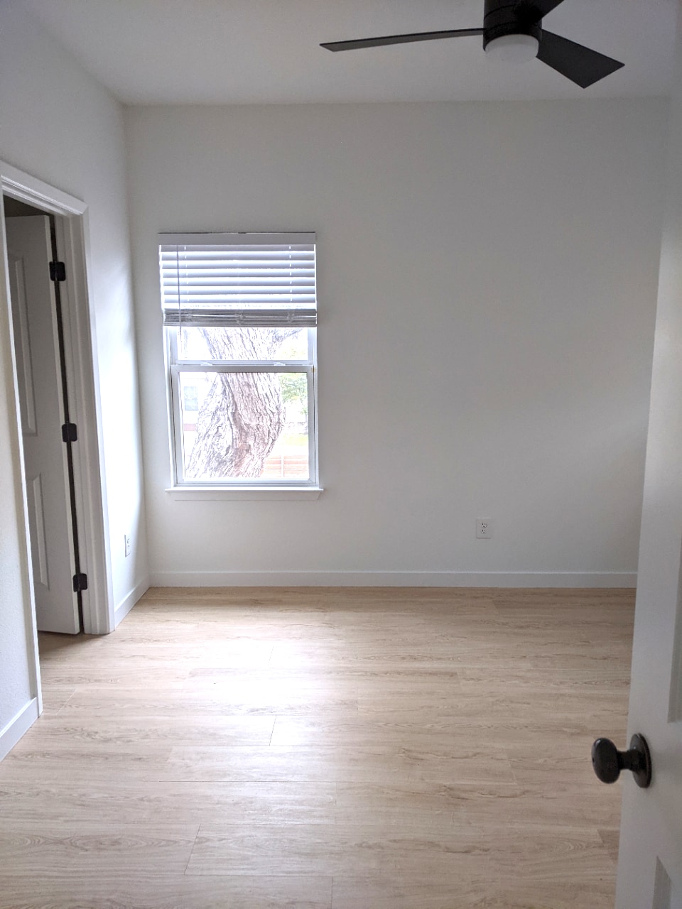 Bedrooms are light filled and feel like a tree house - 1902 Haskell St