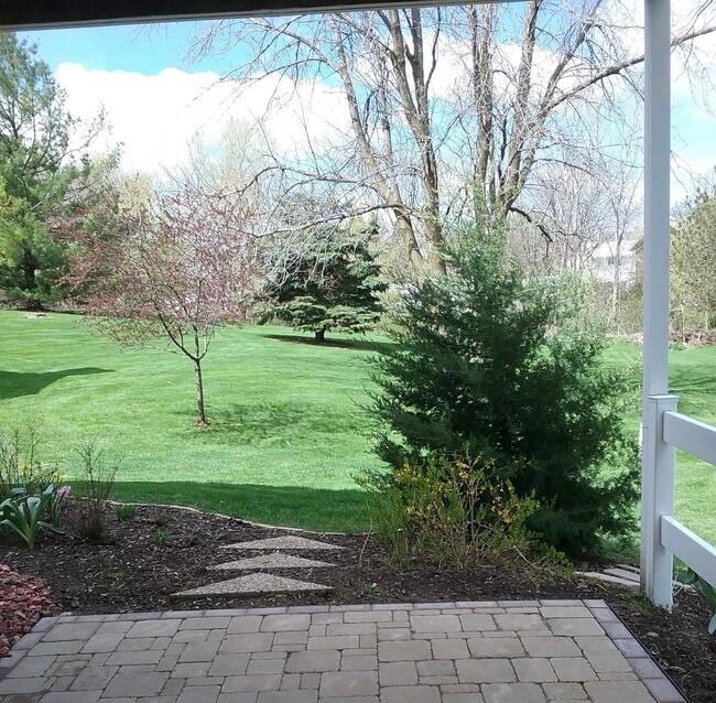 1 Patio - 440 N Westfield Rd