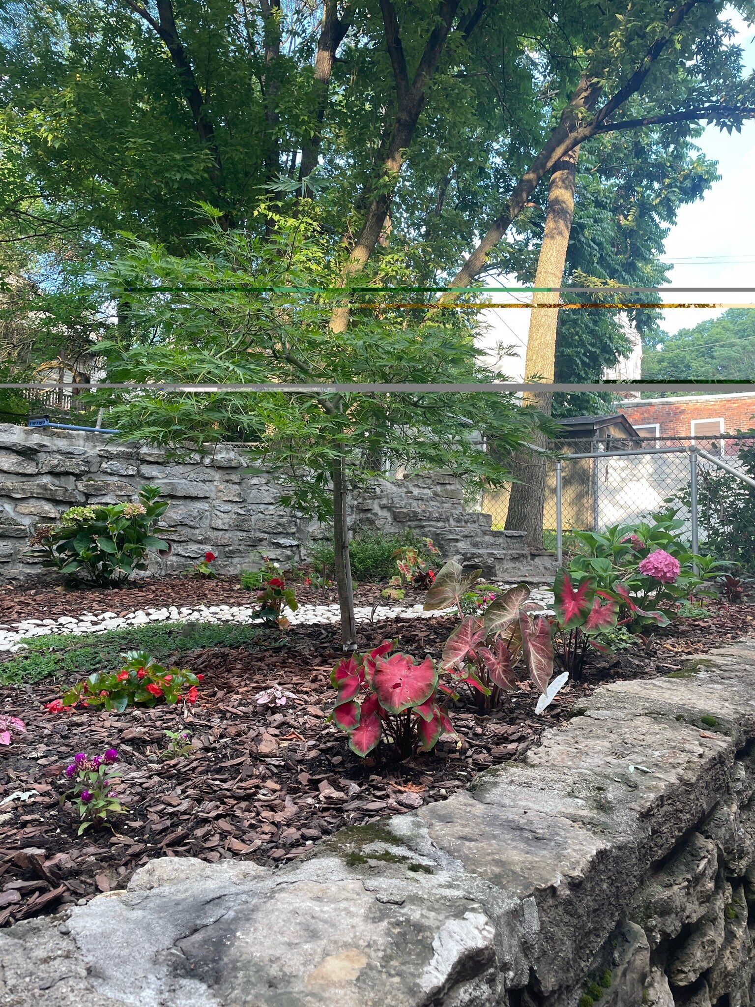 Building Photo - 124 Winkler St