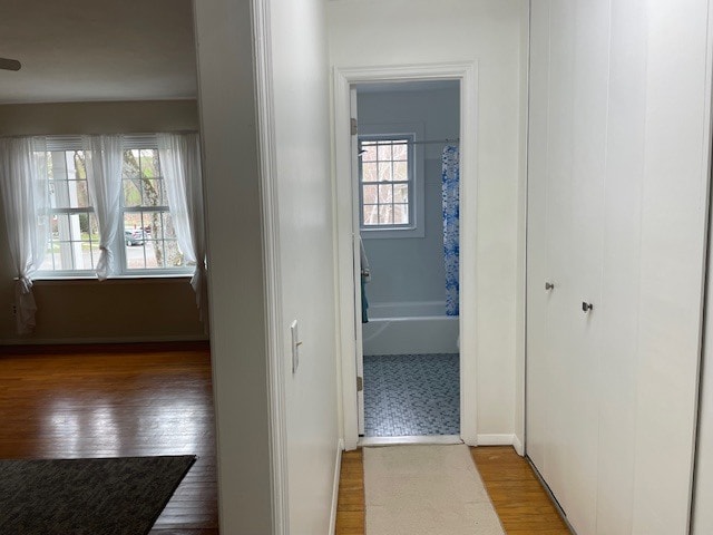 Living room to Back hall from Bedroom into Bathroom - 80 Brush Hill Ave