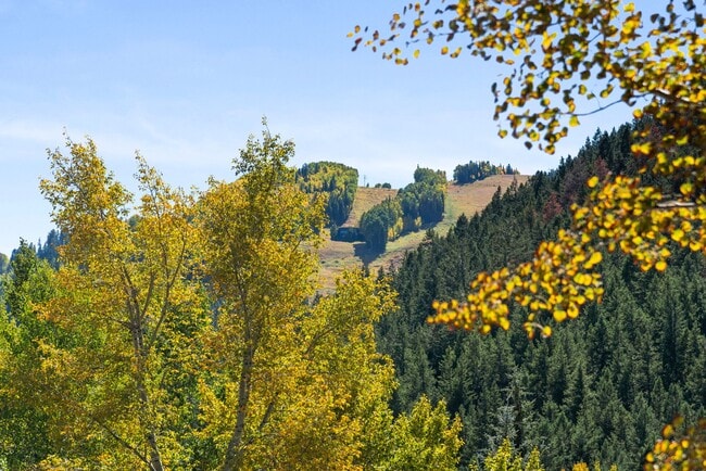 Building Photo - 501 W Main St