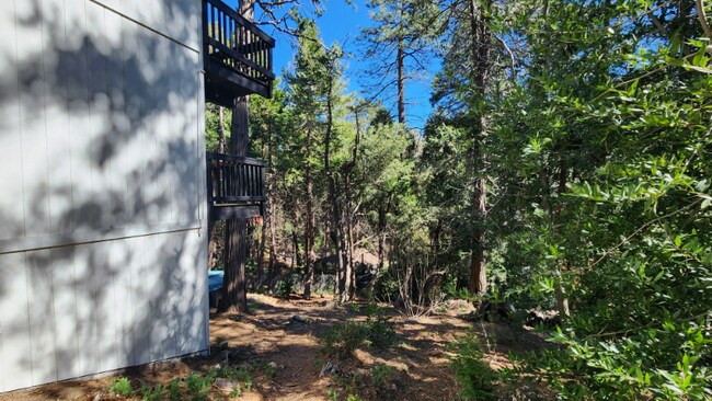 Building Photo - 863 Deer Trail