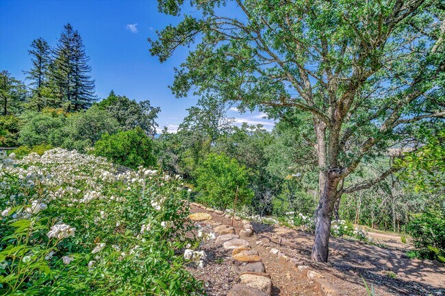Building Photo - Welcome to Your Luxurious Napa Valley Retr...