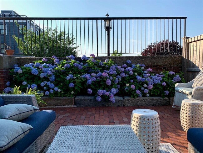 Building Photo - 21 Prospect St