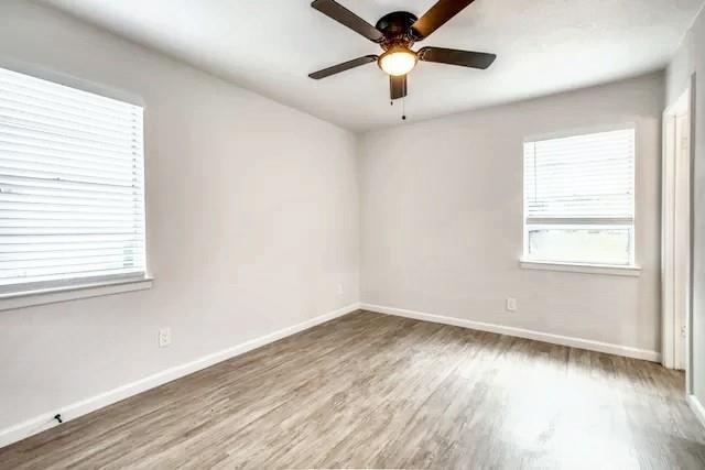 Building Photo - 203 S Forest Crest Dr